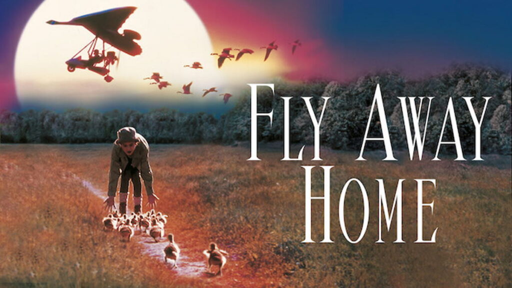 Fly Away Home