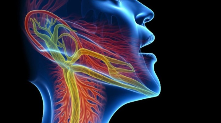 مشکل بلع غذا؛ از علت تا درمان 3 تشخیص مشکل بلع