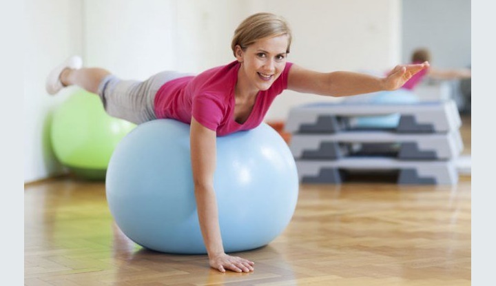 آشنایی با توپ جیم بال و مزایا آن + حرکات ورزشی برای اغاز 34 حرکت برد داگ یا سگ پرنده با توپ جیم بال