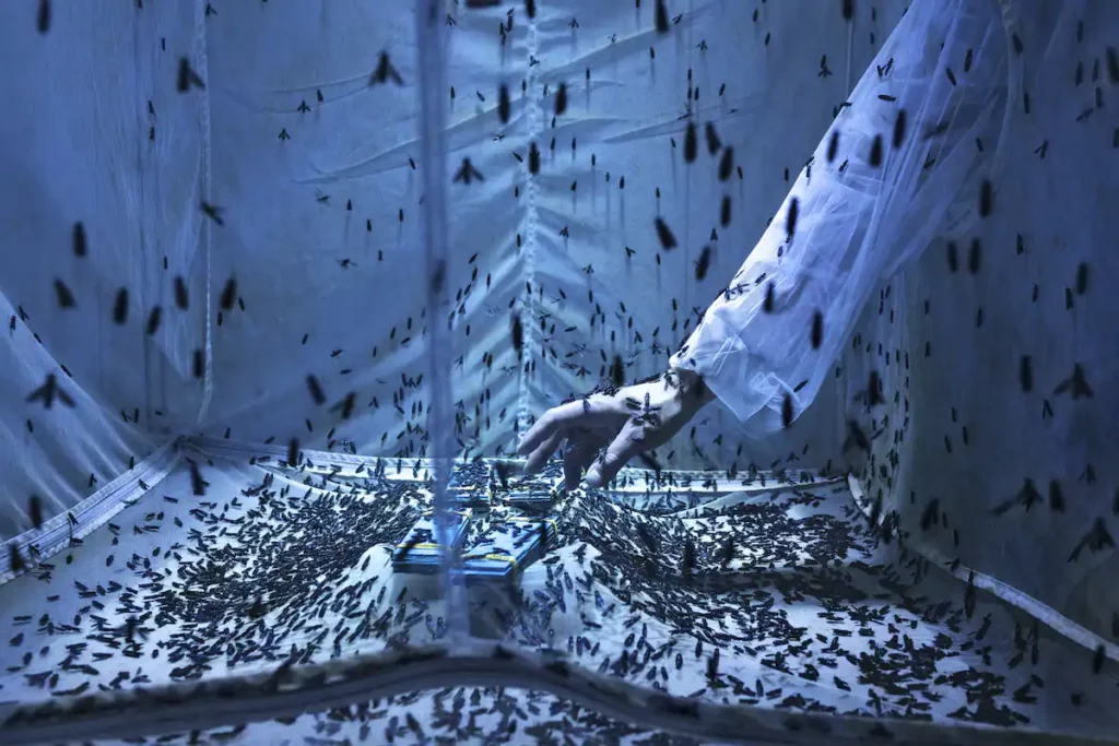 تصاویر برتر مسابقه جهانی عکاسی سونی 2024 اشکار شدند_آیندگان 30 1713022733 799 تصاویر برتر مسابقه جهانی عکاسی سونی 2024 اشکار شدند آیندگان.webp