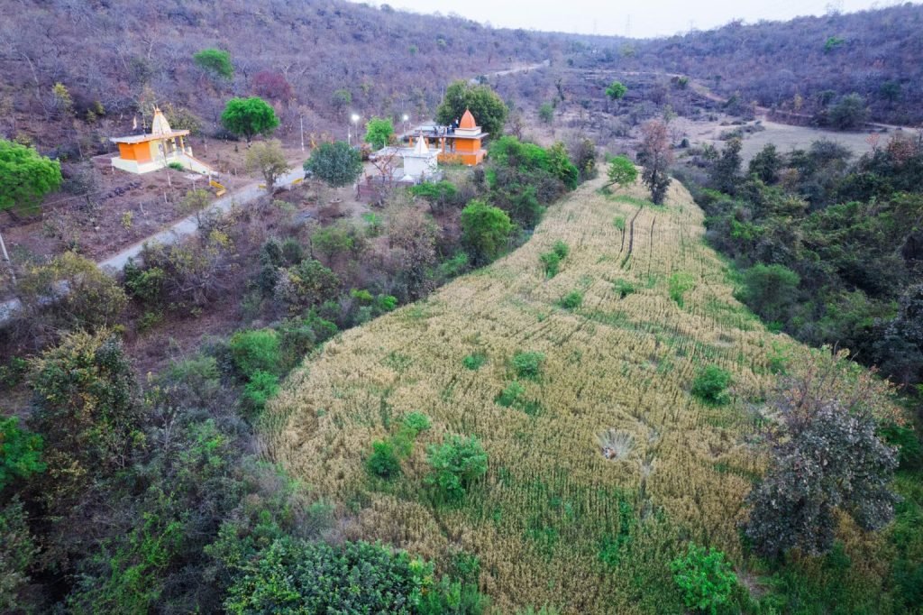 برندگان جایزه عکاسی Nature inFocus سال ۲۰۲۵ اشکار شدند_آیندگان 96 1763776363 842 برندگان جایزه عکاسی Nature inFocus سال ۲۰۲۵ اشکار شدند آیندگان