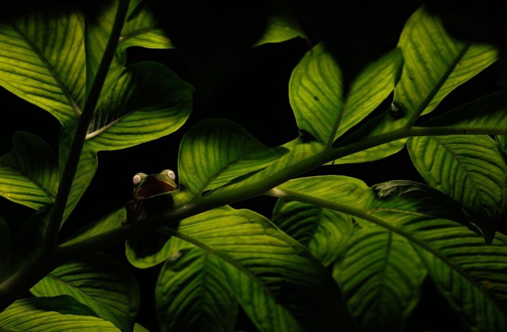 برندگان جایزه عکاسی Nature inFocus سال ۲۰۲۵ اشکار شدند_آیندگان 108 1763776364 626 برندگان جایزه عکاسی Nature inFocus سال ۲۰۲۵ اشکار شدند آیندگان