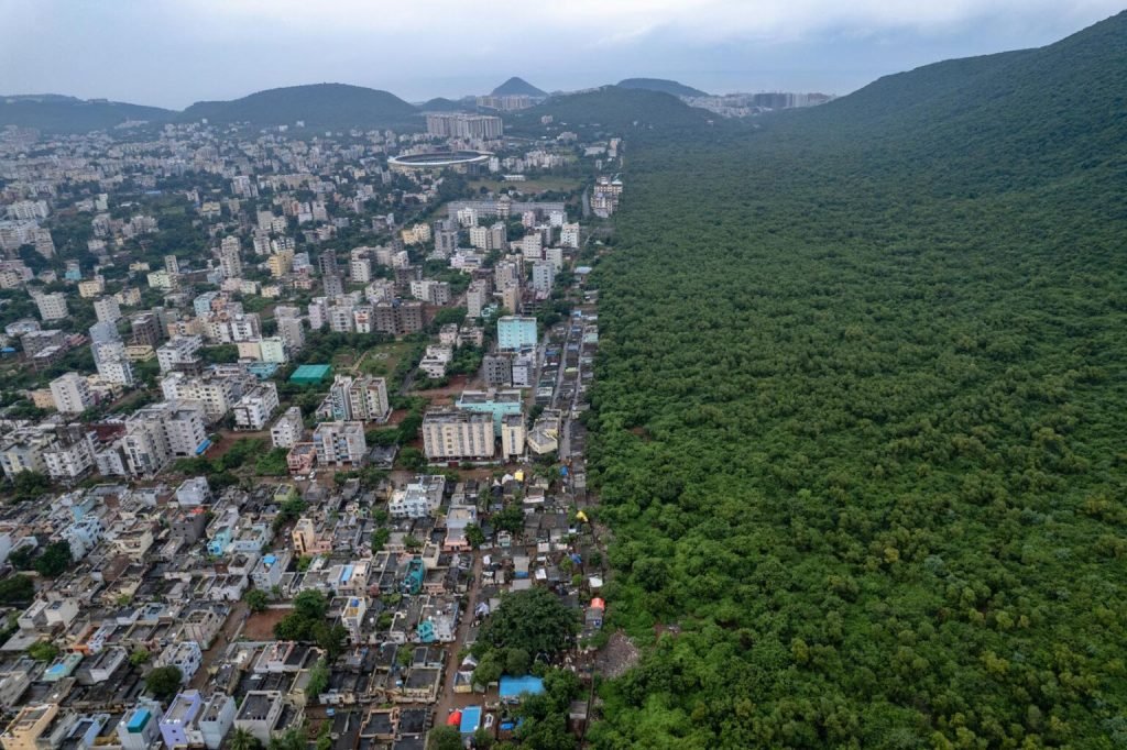 برندگان جایزه عکاسی Nature inFocus سال ۲۰۲۵ اشکار شدند_آیندگان 120 1763776364 781 برندگان جایزه عکاسی Nature inFocus سال ۲۰۲۵ اشکار شدند آیندگان