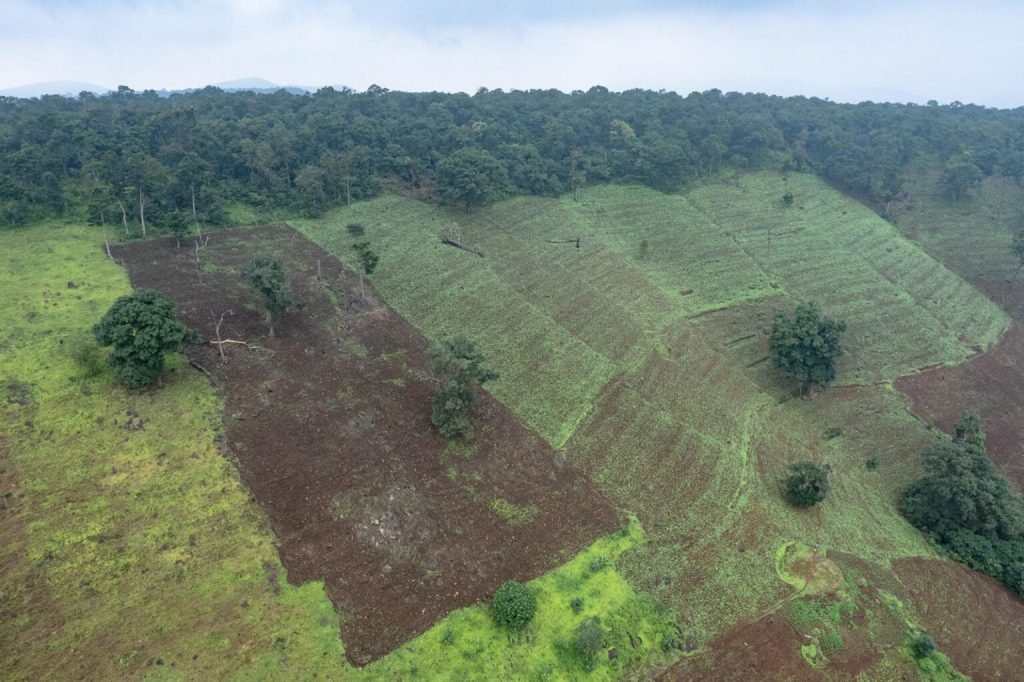 برندگان جایزه عکاسی Nature inFocus سال ۲۰۲۵ اشکار شدند_آیندگان 128 1763776365 856 برندگان جایزه عکاسی Nature inFocus سال ۲۰۲۵ اشکار شدند آیندگان