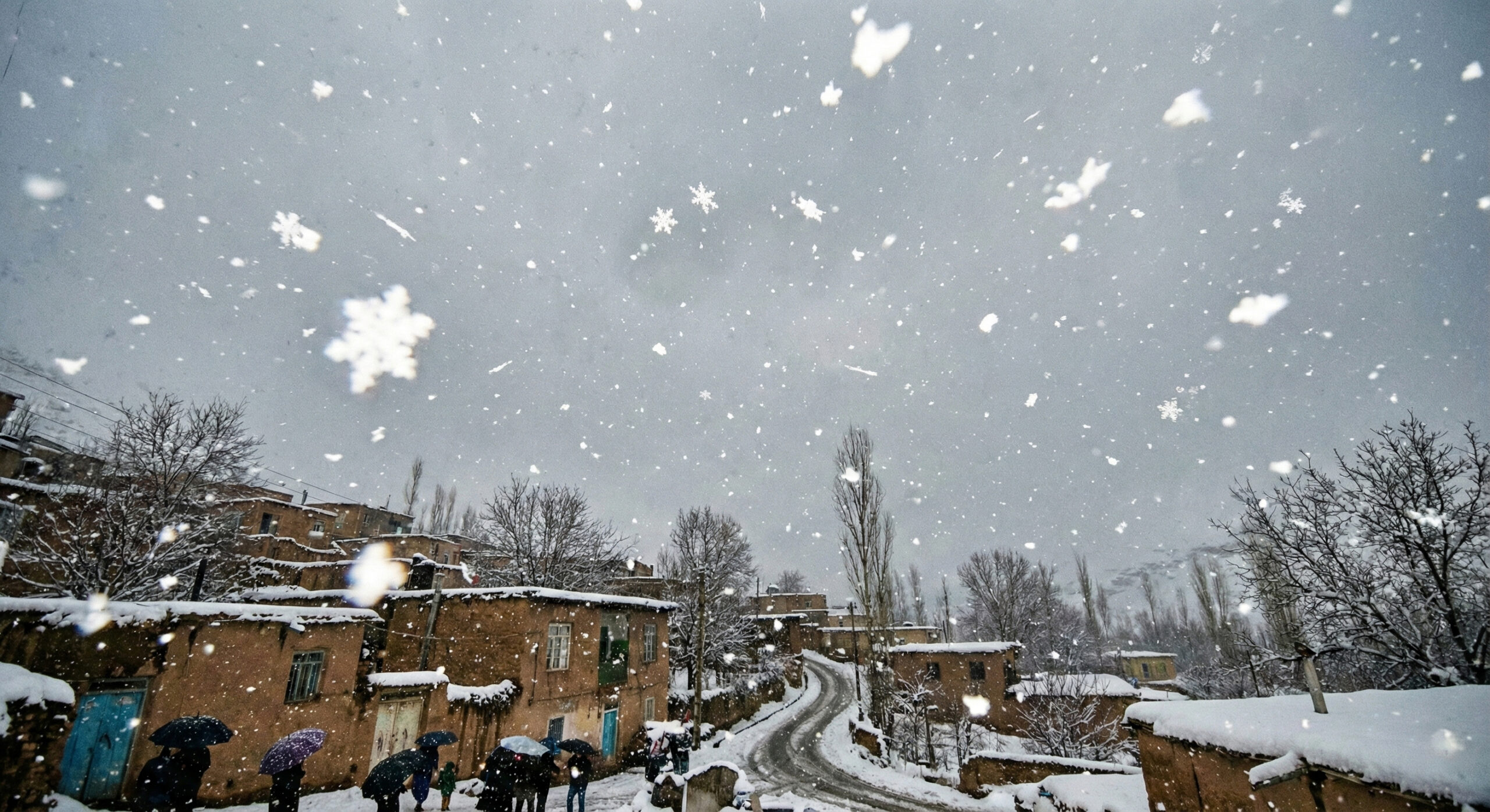 تعبیر خواب باریدن برف؛ نشانه ثروت یا غم و اندوه؟_آیندگان 17 بارش برف در روستای ایران