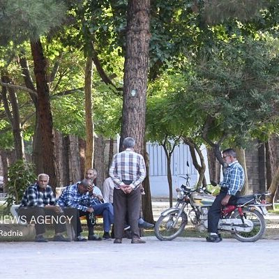 تامین اجتماعی சேரکافیهای