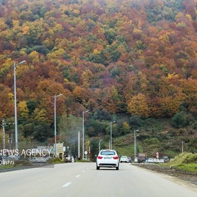 بازگشایی جاده چالوس پس از عبور احشام؛ ترافیک سنگین در محور هراز