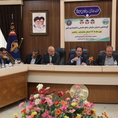 یگان پهپادی سازمان منابع طبیعی برای افزایش قدرت نظارتی منصوب شد
