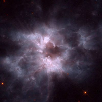 NGC 2440، پیله یک کوتوله سفید جدید