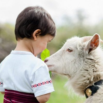 بزها می‌توانند شاد یا عصبی‌بودن انسان‌ را از طریق صدای فرد تشخیص دهند