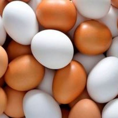 جدیدترین قیمت تخم‌مرغ، شکر و گوشت