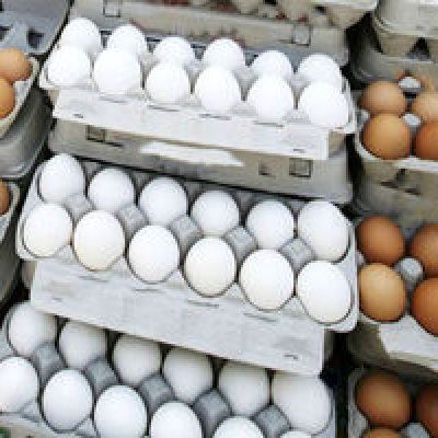 صعود قیمت تخم مرغ در بازار