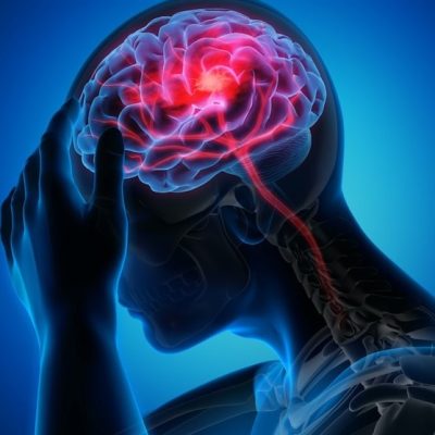 لزوم ایجاد شبکه پایدار بین علوم اعصاب و اجتماعی در کشور